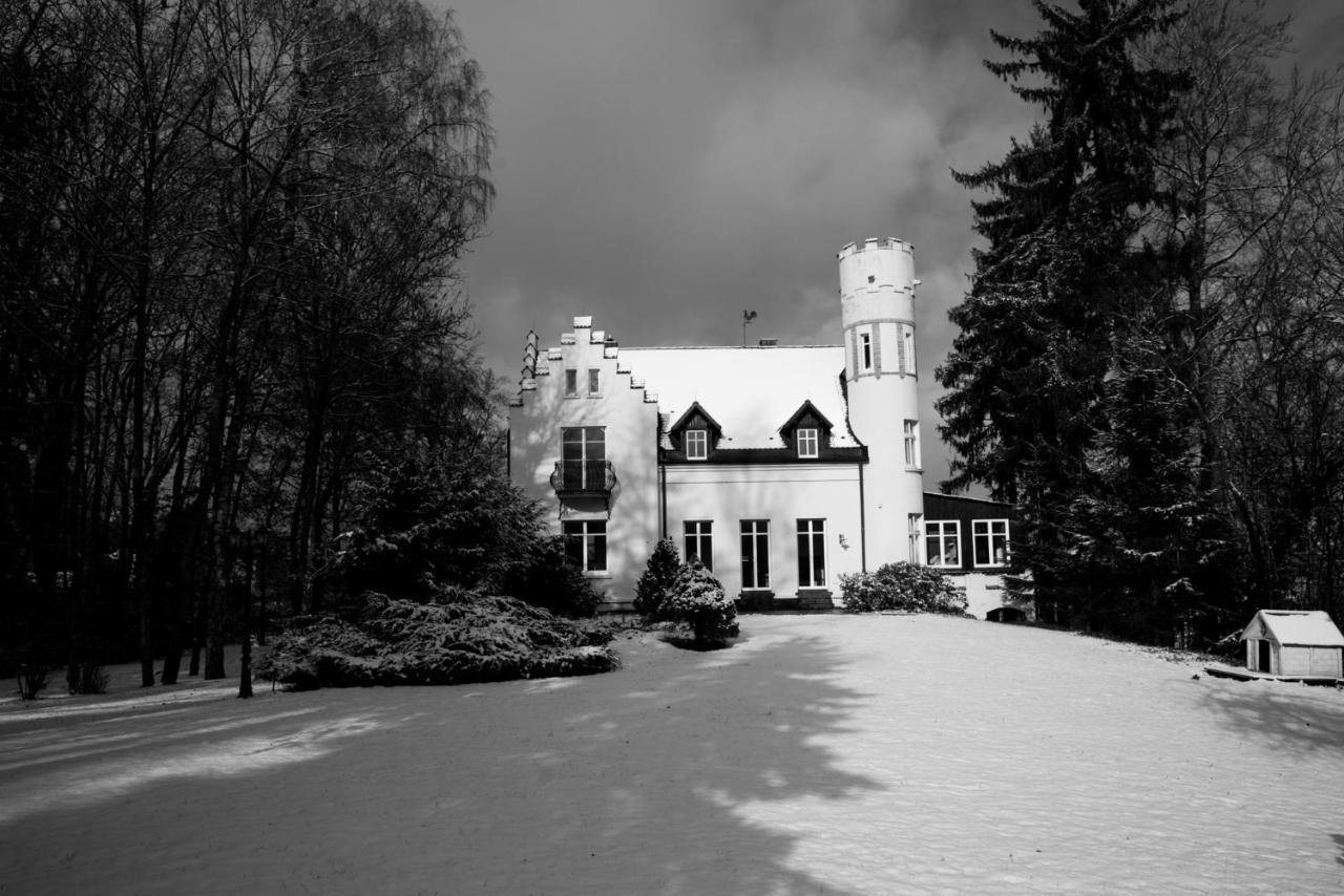 Schloss Suggenstein زيغمارينغن المظهر الخارجي الصورة