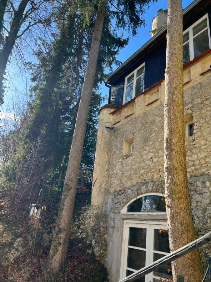 Schloss Suggenstein زيغمارينغن المظهر الخارجي الصورة