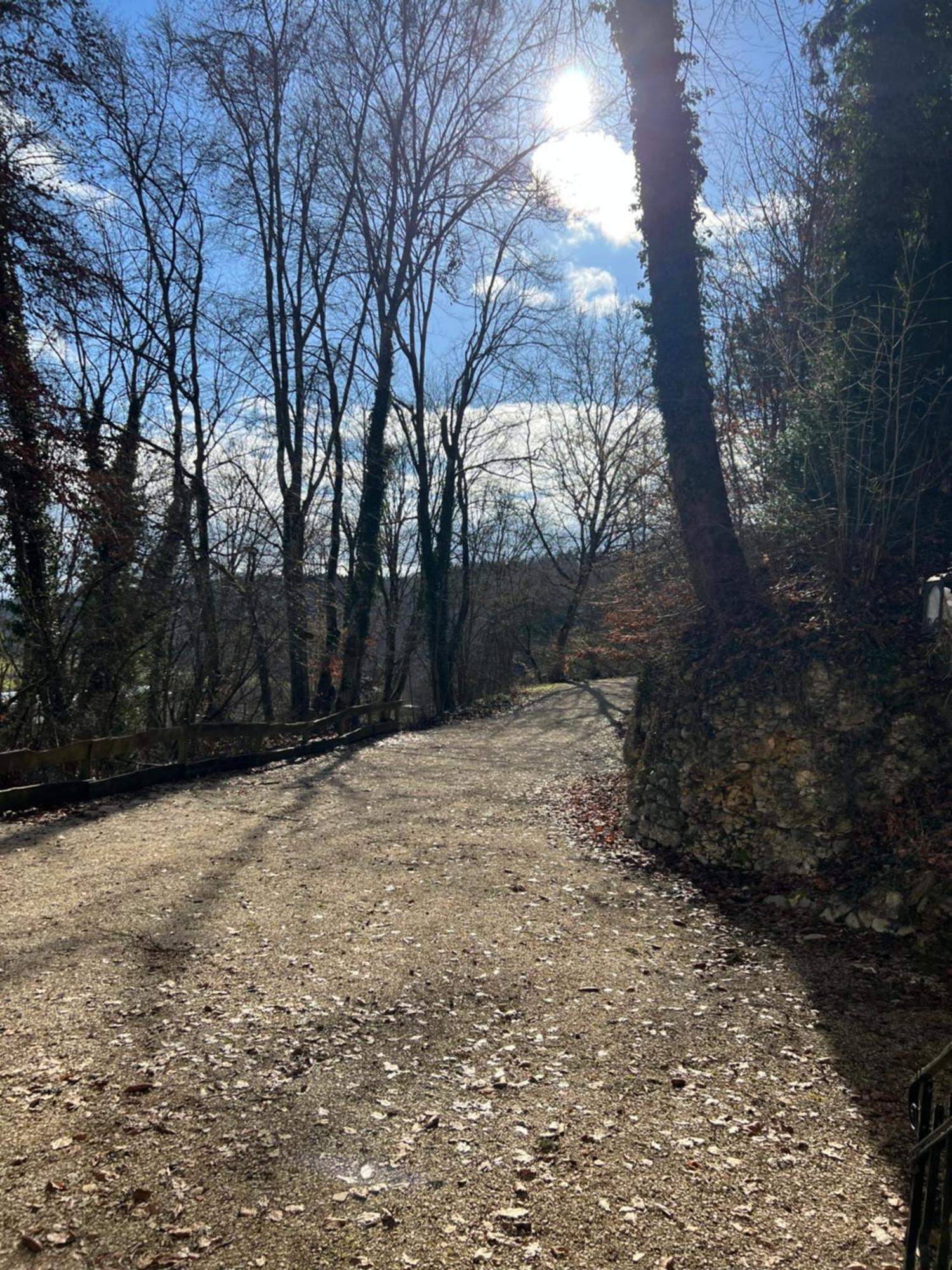 Schloss Suggenstein زيغمارينغن المظهر الخارجي الصورة