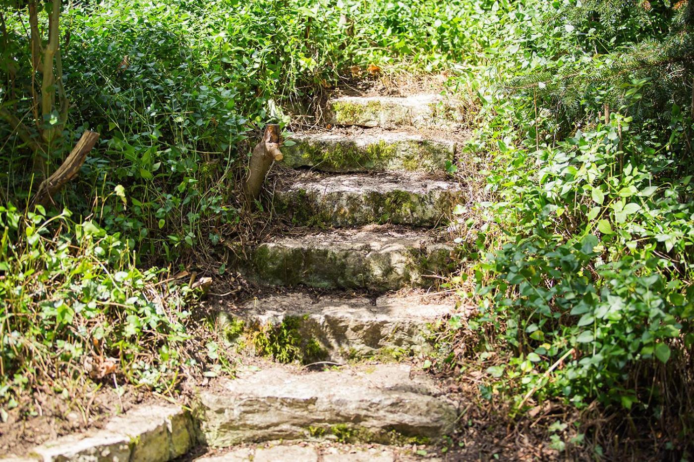 Schloss Suggenstein زيغمارينغن المظهر الخارجي الصورة